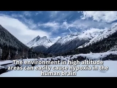 플라토 확산 산소 발전기